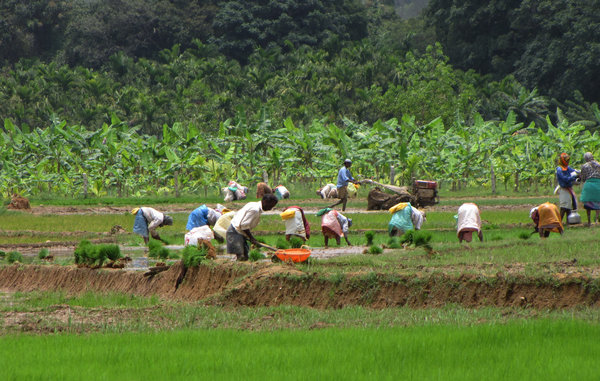 The Yoruba Blog | Ẹ jẹ ki a gbé èdè àti àṣà Yorùbá Lárugẹ: keeping the ...